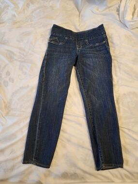 Rock & Republic Dark Blue Stretch Jeggings